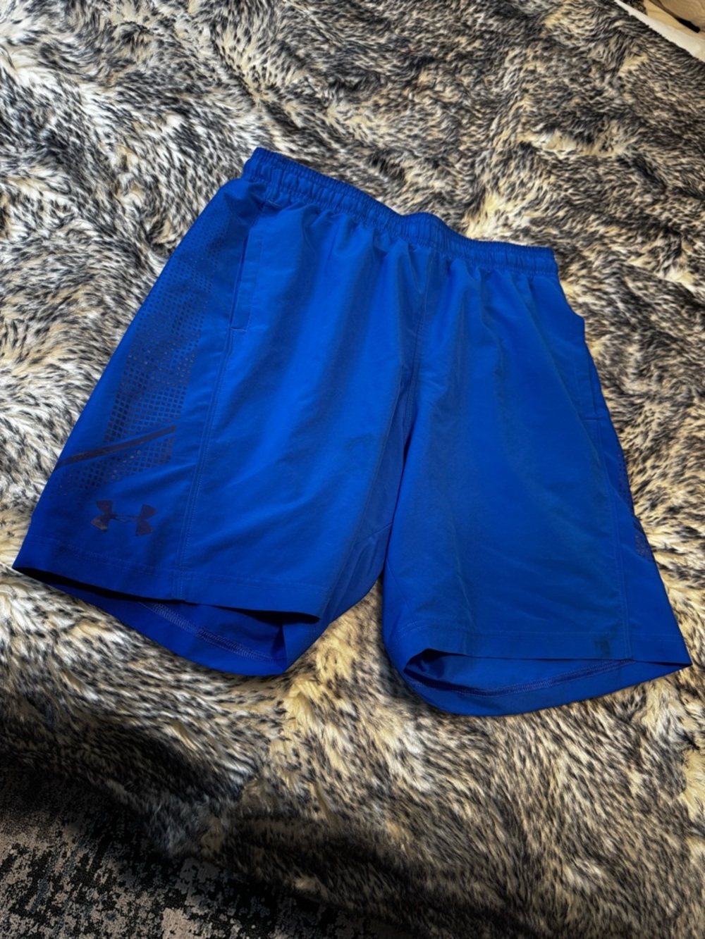 Under Armour HeatGear Performance Training Shorts